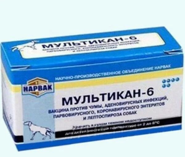 Мультикан в чем разница. Вакцина мультикан 6 для щенков. мультикан-8, вакцина для собак. вакцинация собаки мультикан 6. прививка для собак мультикан.