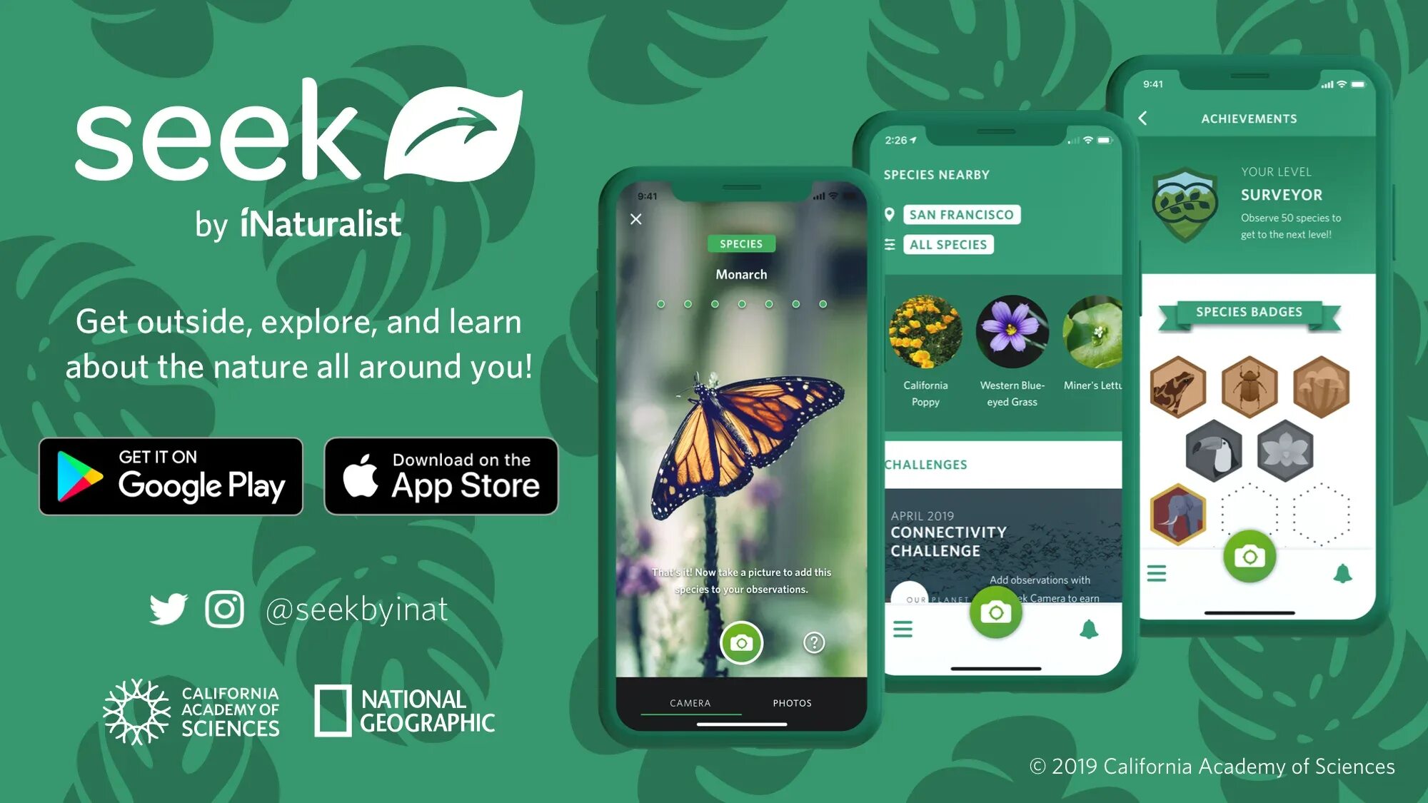 Seek программа. Приложение seek. inaturalist приложение. seek inaturalist. seek by inaturalist.