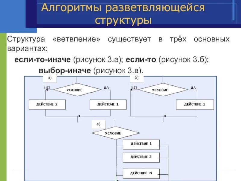 Разветвляющий алгоритм примеры из жизни. Блок схема разветвляющегося алгоритма в информатике. алгоритмы с ветвлением 6 класс информатика. алгоритм с ветвлением 4 класс информатика. что такое структура ветвления алгоритма в информатике.