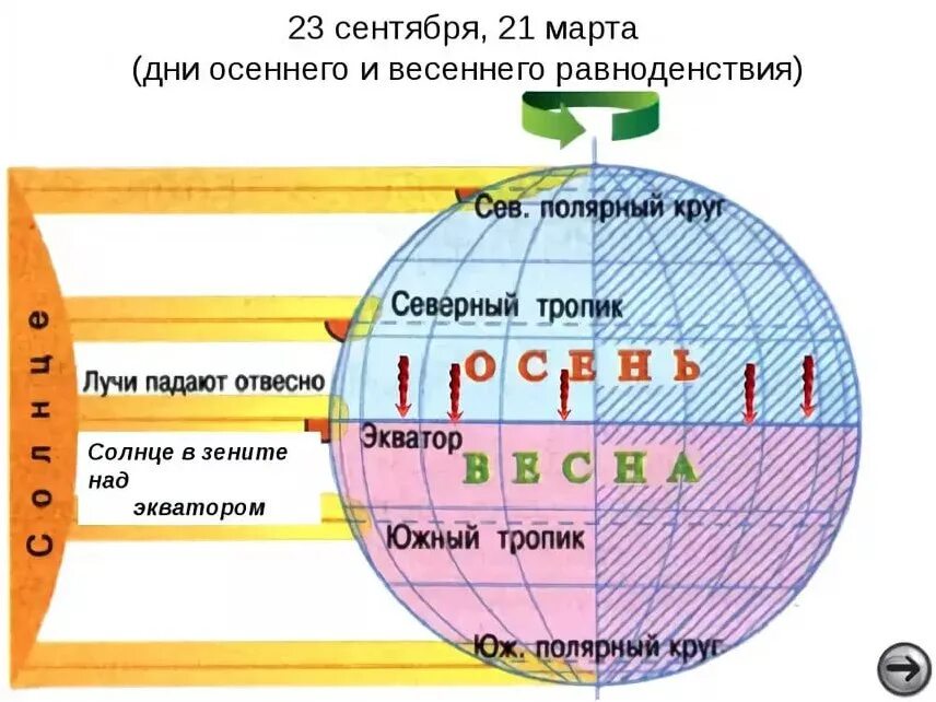 На экваторе солнце находится в зените. Положение земли в дни равноденствия. положение солнца в зените. пояса освещенности. расположение солнца на экваторе.