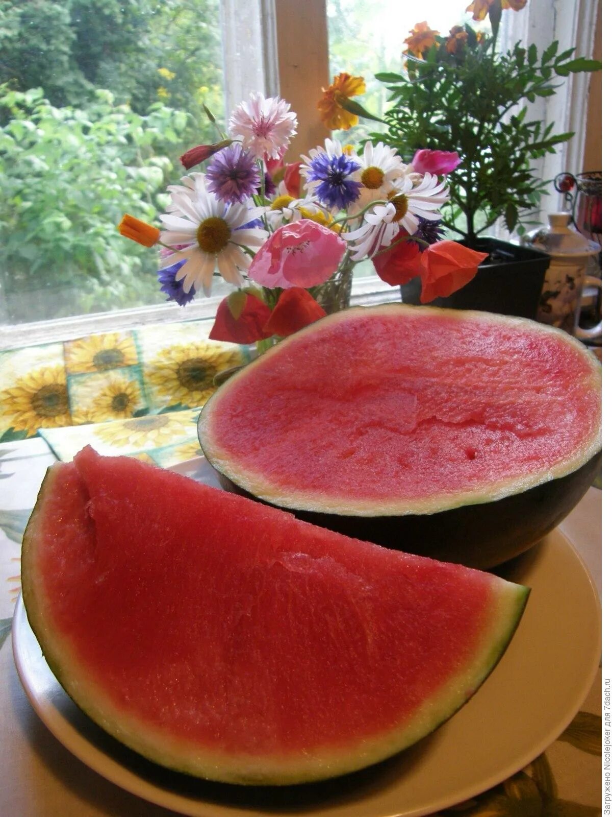 арбузятня спб. арбузятня спб. арбузы в ленинградской области. арбузятня спб. арбузятня спб.