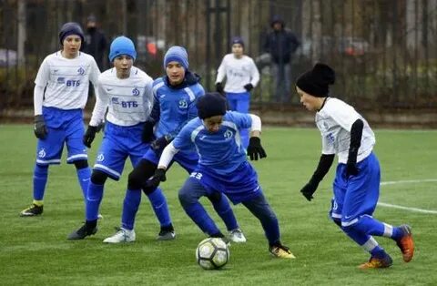 Сайт динамо кострома