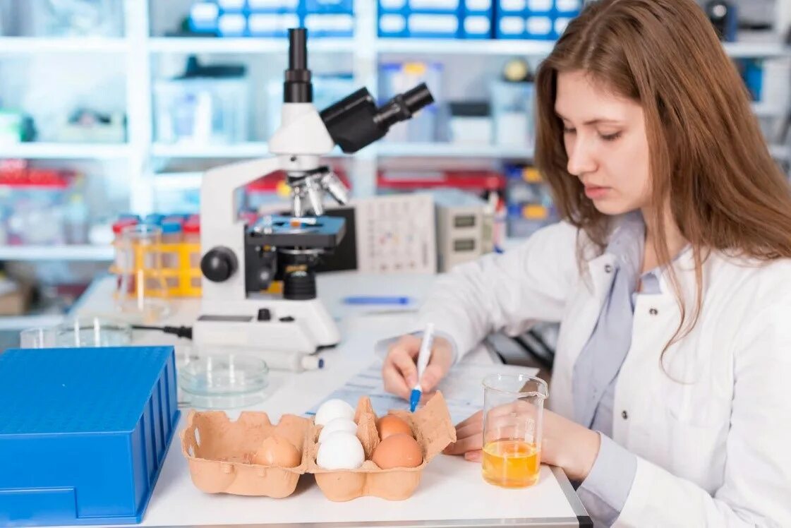 Специалист по контролю пищевой продукции. Специалист по качеству продуктов. Пищевое производство. Профессия технолог пищевого производства. Специалист по контролю пищевой продукции.