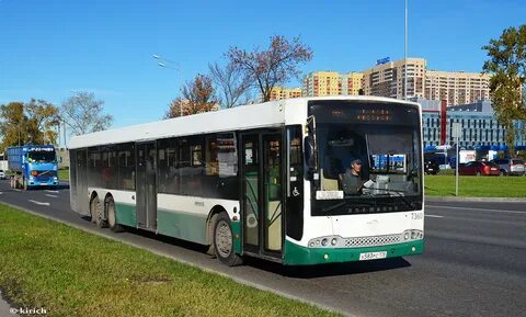 12 автобус спб