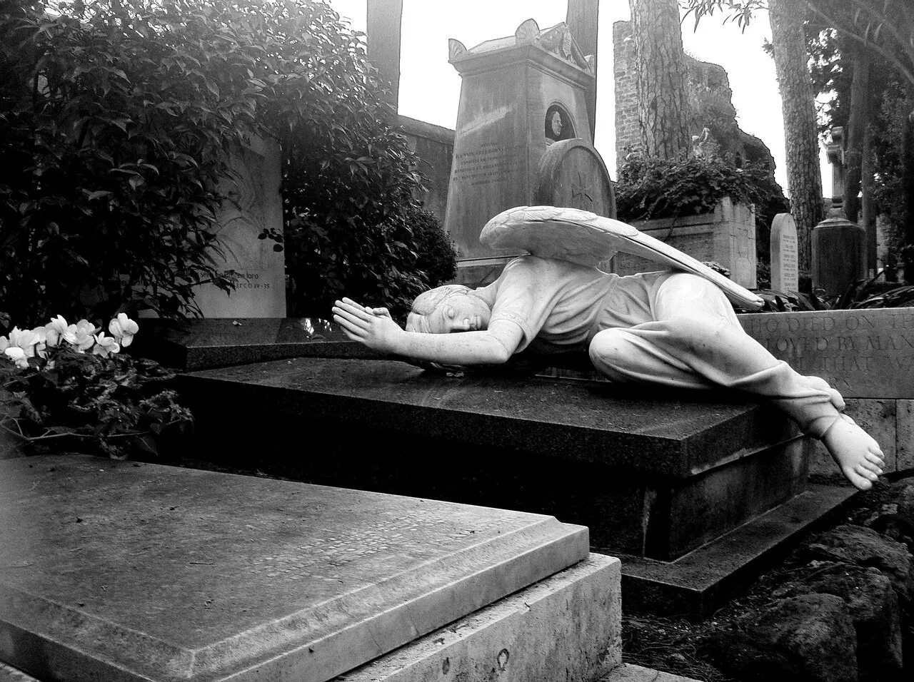 Кладбище во сне для женщины и могилы. Девушка на кладбище. Могила. Красивые могилы. Фотосессия на кладбище.
