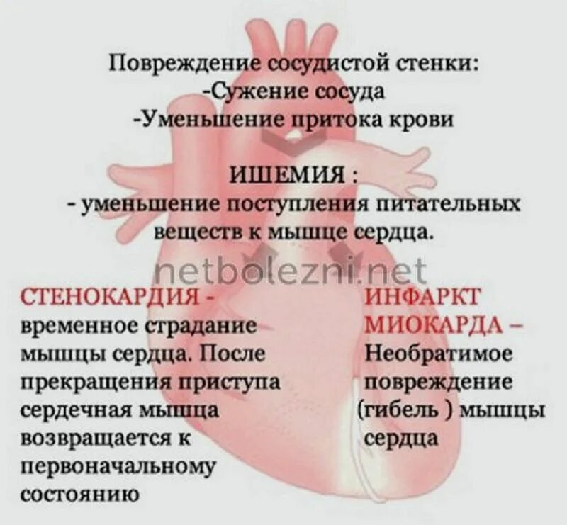 Болит сердце. Человек с больным сердцем. Болит сердце. Жмет сердце. Ладошка с сердечком.
