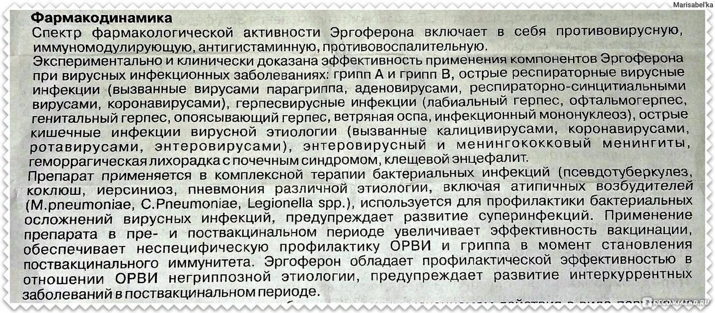 От гриппа и простуды эргоферон. Эргоферон является ли антибиотиком. Эргоферон схема приема взрослым.