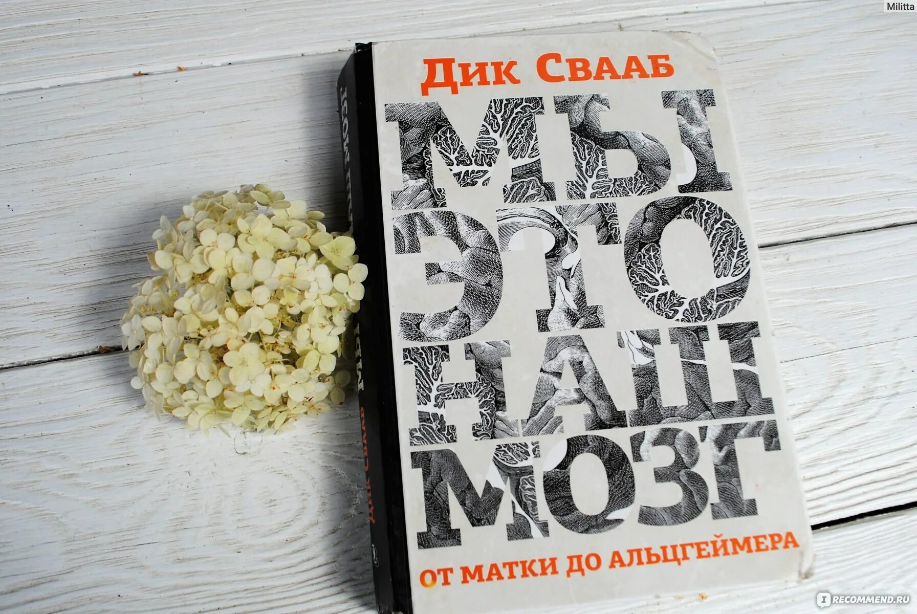Читать книгу осколки разбитых иллюзий. Читать книгу осколки разбитых иллюзий