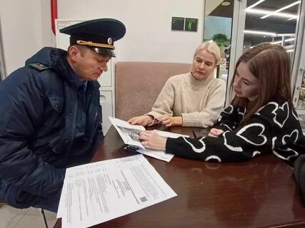 Новогодняя инспекция