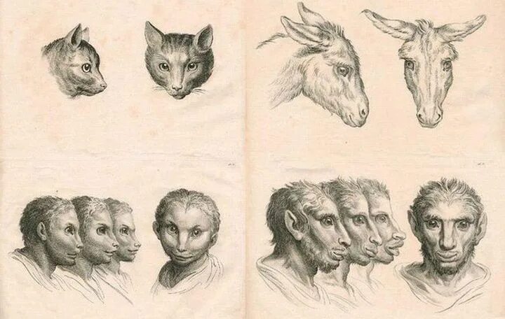 эволюция рыб. эволюция человека карикатура. человек произошел от свиньи. человек произошел от рыбы. эволюция дарвина.