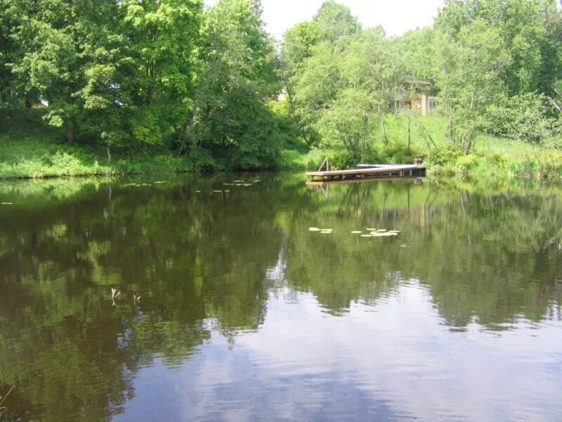 дом черной барыни в рузе. щербинки деревня рузский район коттеджи. щербинки рузское водохранилище. щербинки. деревня щербинки рузский.