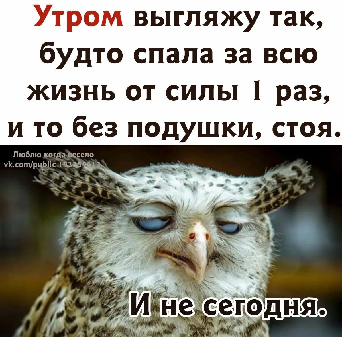 Спасть жизнь. Утром выгляжу так будто спала за всю жизнь. выгляжу так как будто спала за всю жизнь от силы 1 раз. выгляжу так как будто спала за всю жизнь от силы 1 раз картинки. с утра с выгляжу......