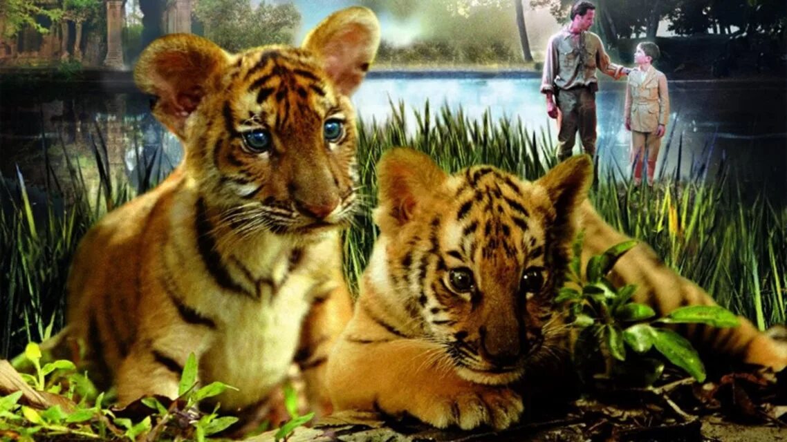 Два брата про тигров. Два брата - deux frères (2004) тигры. "два брата" жан-жак анно. 2 брата фильм 2004. Два брата тигра.