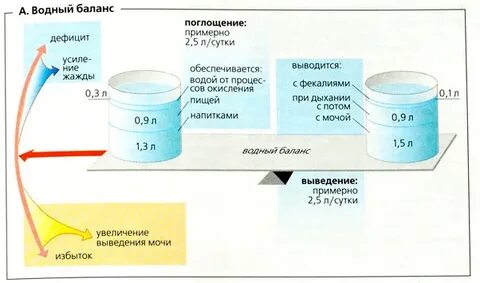 Соотношение водного баланса