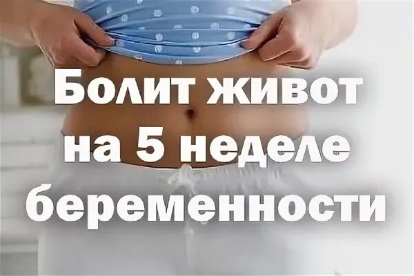 Болит живот срок 5 недель