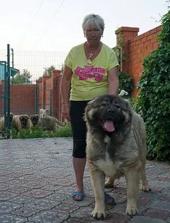 Русский риск