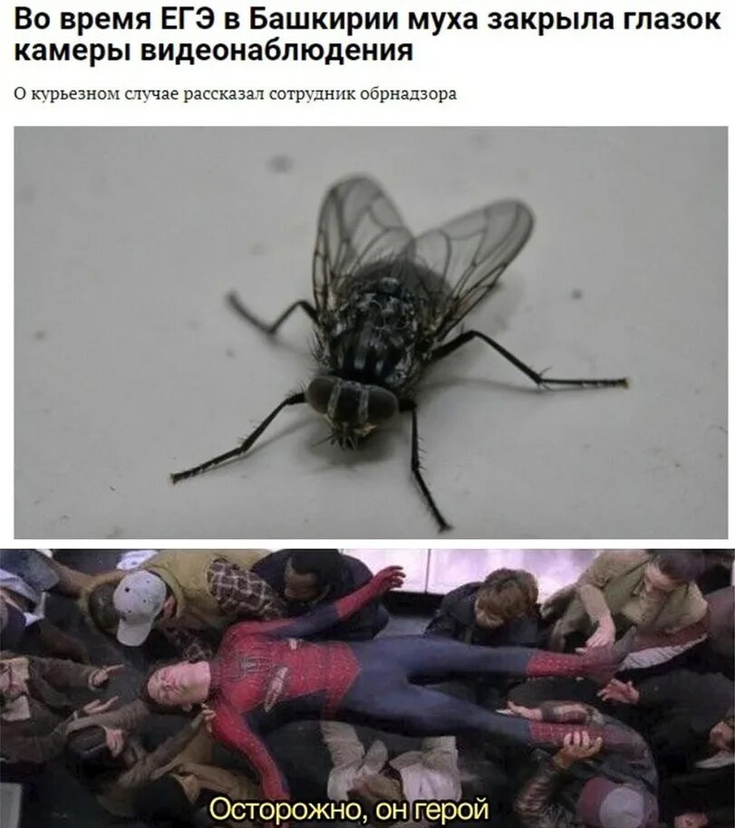 В случае который рассказал
