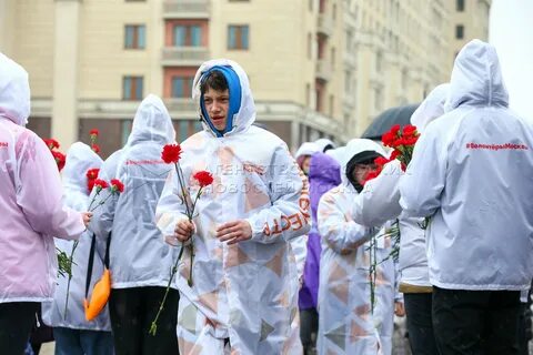 Добровольцем через москву