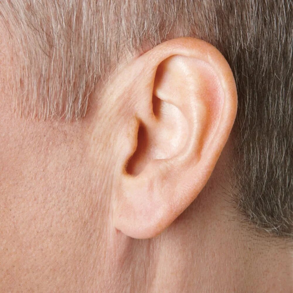 Ear hearing