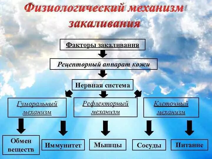 Физиологическая основа закаливания организма. Механизм действия процедур закаливания. Каков физиологический механизм закаливания?. Физиологические основы закаливания. Механизмы действия закаливающих процедур.