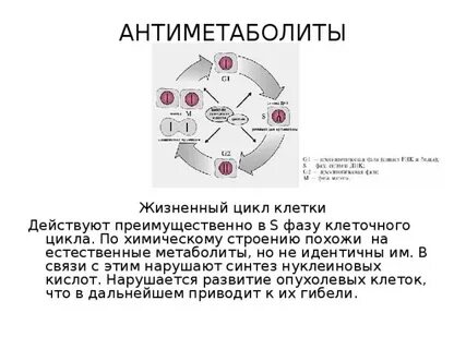 Антиметаболиты это
