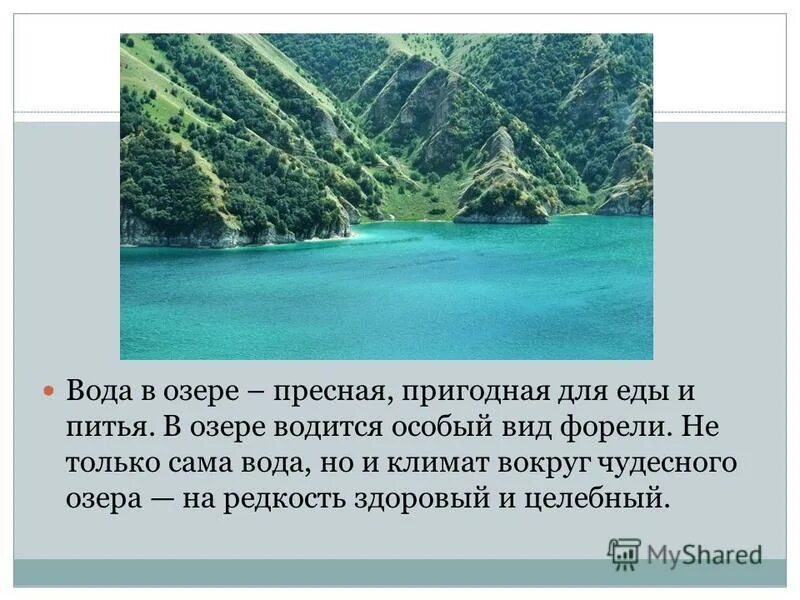 черепашье озеро крит. единственное пресное озеро. алтай озеро байкал. черепашье озеро крит. озеро курнас греция.