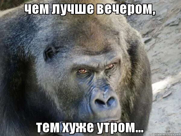 Плохо вижу утром. Плохое утро мем. чем лучше вечером тем хуже утром. плохое утро картинки. мемы про плохое утро.