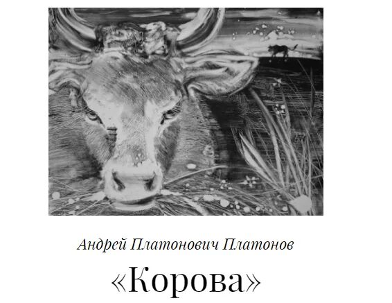 Корова рассказ платонова краткое. А П Платонов корова иллюстрации. Корова Платонов Вася. Иллюстрация к рассказу корова Платонова.