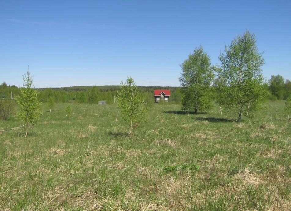 Поселок рузские просторы. Мос. Судебный участок рузский. Судебный участок рузский. Нестерово (рузский городской округ).