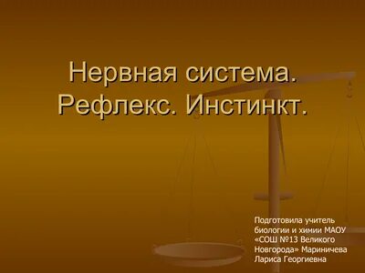 Инстинкт 7 класс
