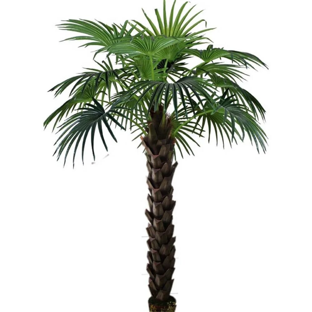Купить пальму живую. Арека Пальма Живая 2 метра. Пальма декоративная искусственная. Пальма искусственная большая. Декоративное искусственное дерево Пальма.