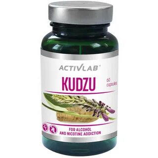 Экстракт кудзу