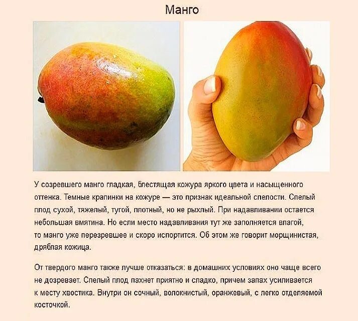 Какой фрукт не созревает в сочи манго