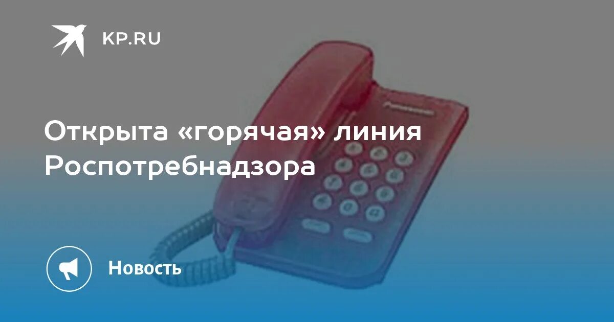 Ветром горячая линия. Горячая линия Роспотребнадзора. Роспотребнадзор горячая линия. Горячая линия. Горячие линии Роспотребнадзора.