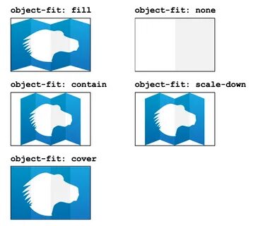 Fit covers