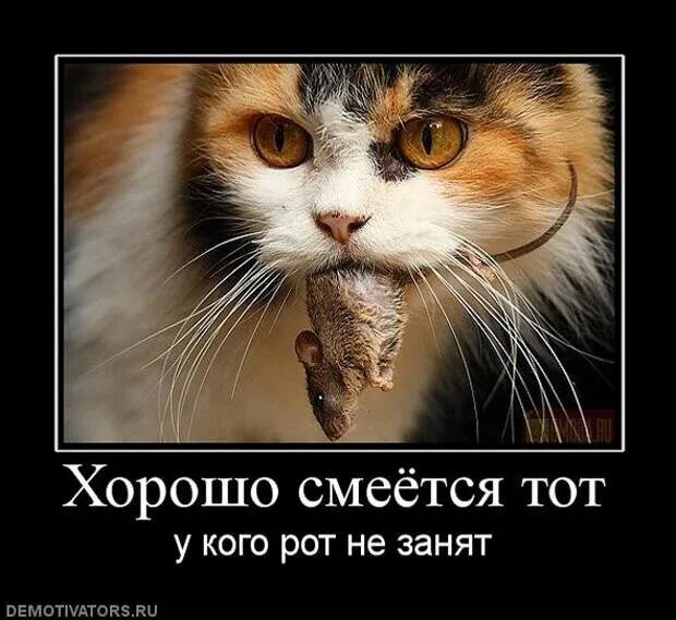 Смеется тот кто смеется последним значение. Хорошо смеется тот. хорошо смеется тот кто. хорошо смеется тот кто смеется последним. хорошо смеется тот кто смеется последним картинка.
