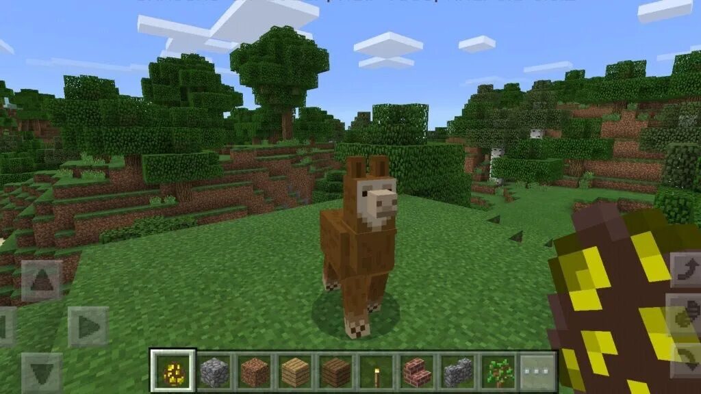 Майнкрафт 18.0. Minecraft - Pocket Edition версия 0.17.0. Майнкрафт 2.0. Майнкрафт 1.2.0.