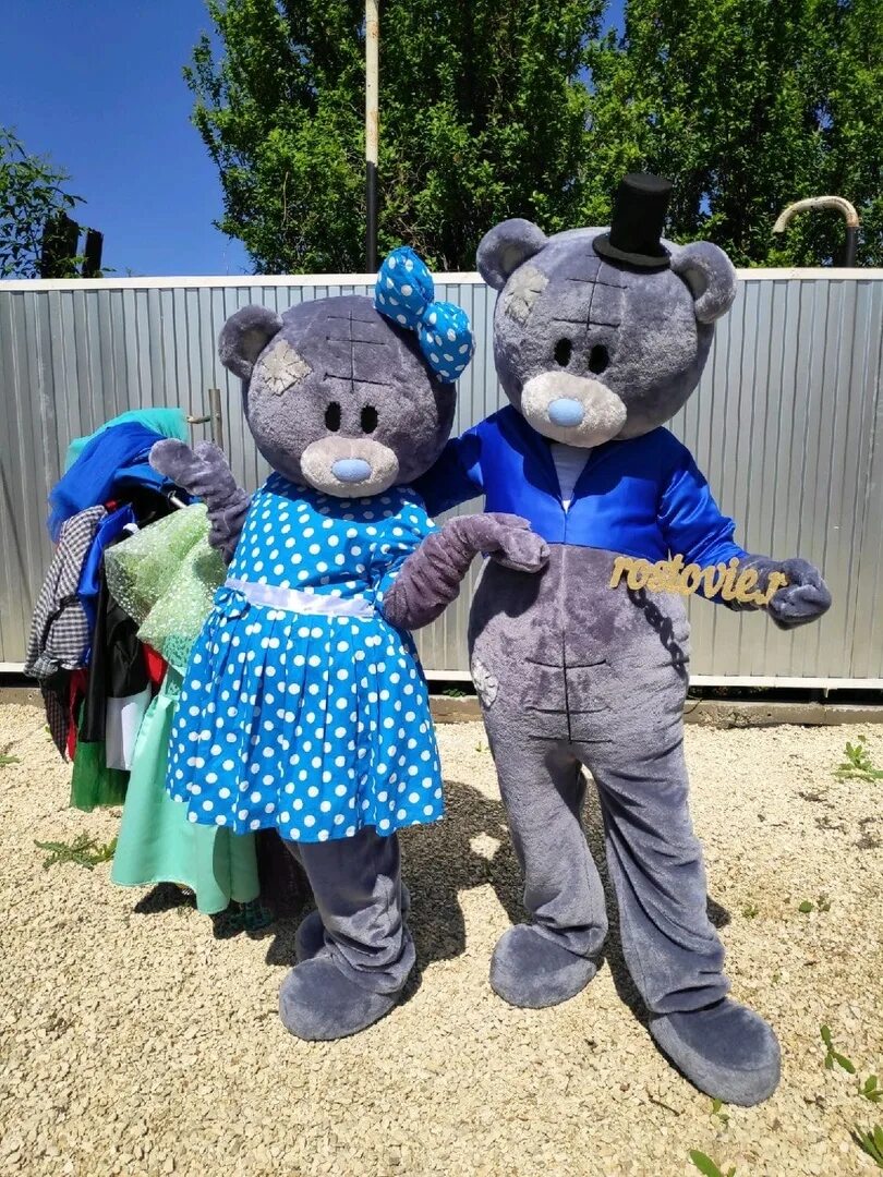 Костюм мишки аниматор. Мишка теди ростовая кукла. Мишка тедди ростовая кукла. Костюм мишки аниматор. Аниматор в костюме медведя.
