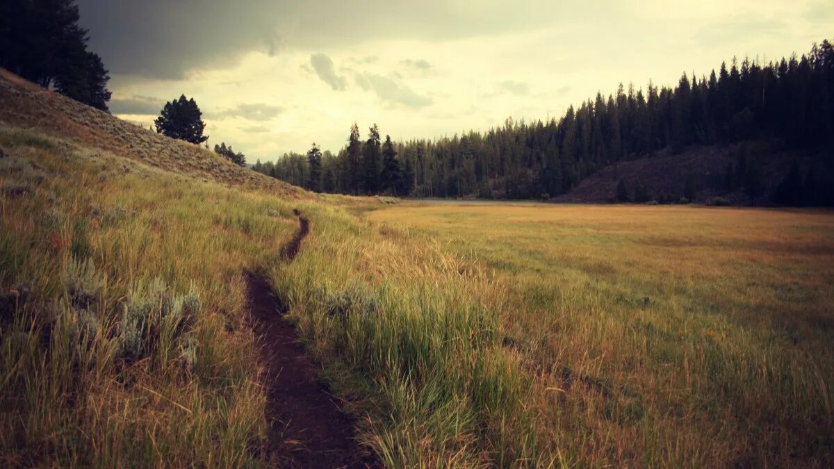 You can be the world. Words about nature. Sayings about nature. Quotes about nature. Обои David quote.