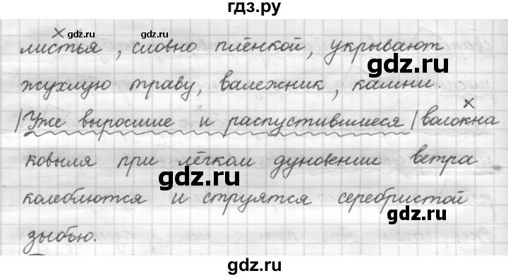 Рыбченкова 7 класс новый учебник. Русский язык 7 класс рыбченкова. Русский язык упражнение 92. Упражнение 92 по русскому языку 7 класс. Упражнение 197 7 класс рыбченкова.