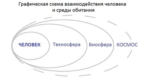 Цикле среда обитания