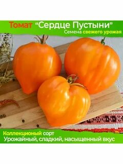 Томат сердце пустыни характеристика и отзывы отзывы