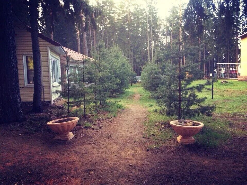 Солнечный бор череповец. Солнечный бор, деревня костяевка. костяевка череповец. база отдыха костяевка череповец.