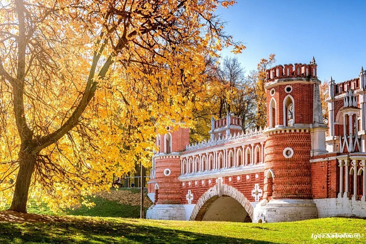 Достопримечательности парка царицыно. Царицыно музей-заповедник. Царицыно музей-заповедник осенью. Парк заповедник Царицыно. Парк музей Царицыно.