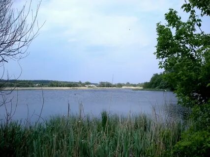 Петровка белгородская область