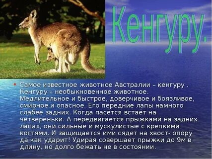 Животные австралии 4 класс