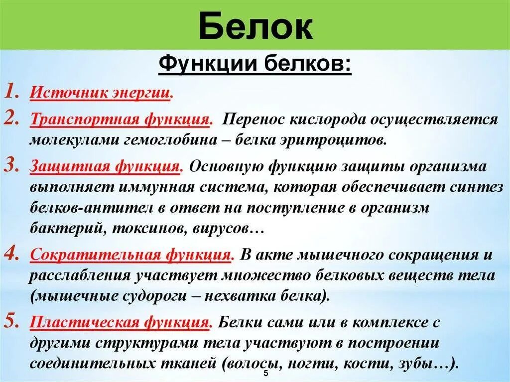 Каковы были его функции. Свойства и функции простых белков. Функции белков. Белки структура и функции. Строение и функции белков.