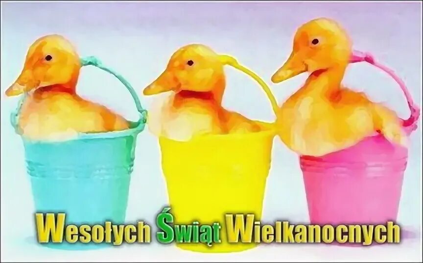 Тоя нет. Тоя нет