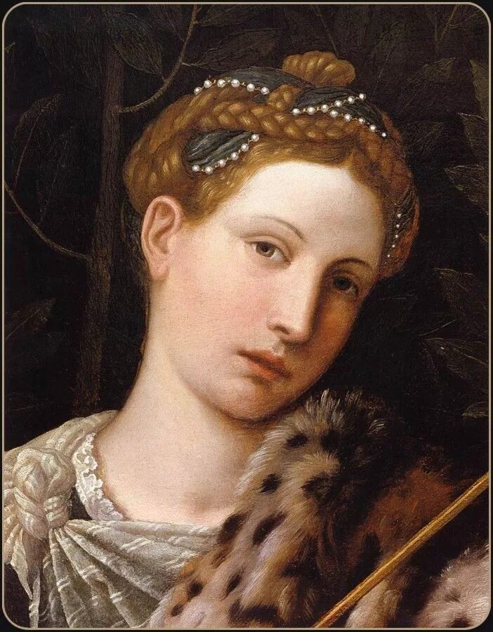 Туллия д'Арагона. Алессандро Моретто живопись. Моретто да Брешиа портрет.