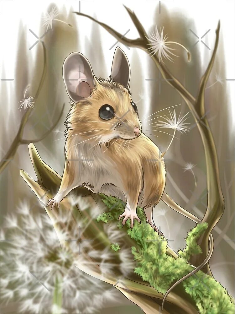 крыса арт. серая мышка арт. воин рэдволла кролик. мышь арты. арты мышей.